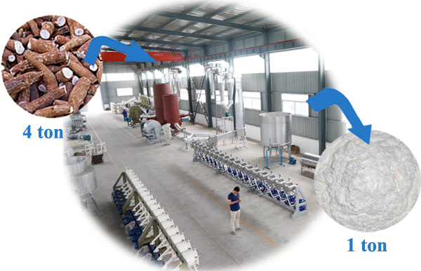 fábrica-de-processamento-de-mandiocam